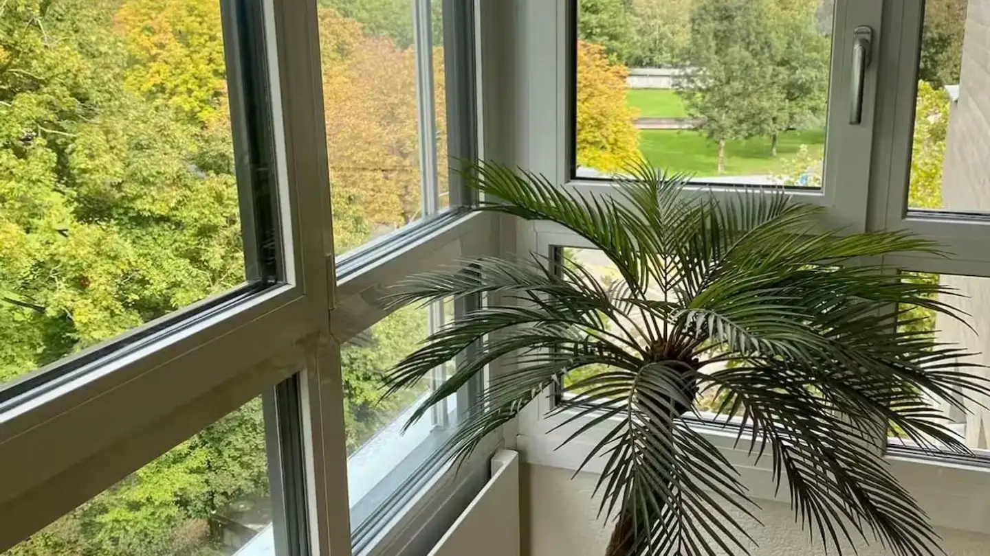 Wohnung mieten - 3005 Bern
