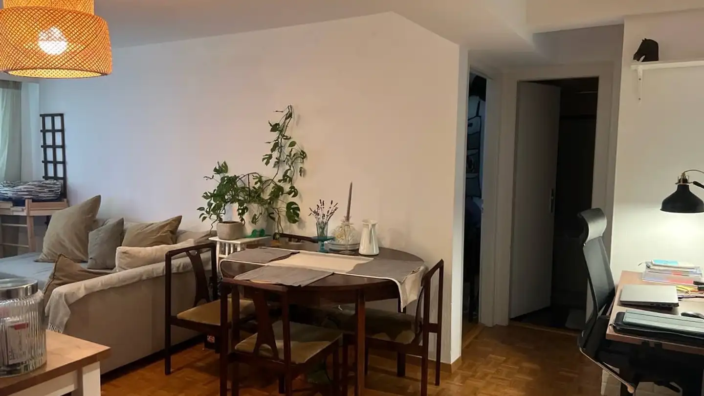 Appartement à louer - Chemin Guiguer-de-Prangins 21, 1004 Lausanne