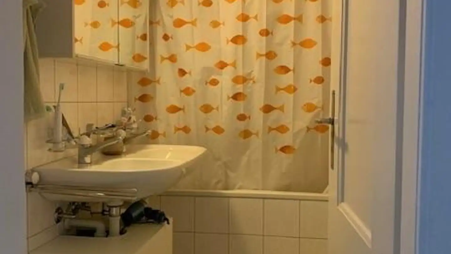 Appartamento in affitto - Belpstrasse 19, 3007 Bern - Foto 2