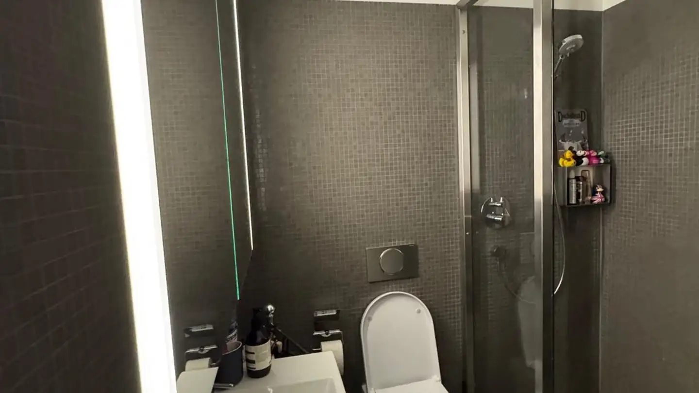 Stanza singola in affitto - Europaallee 45, 8004 Zürich - Foto 2