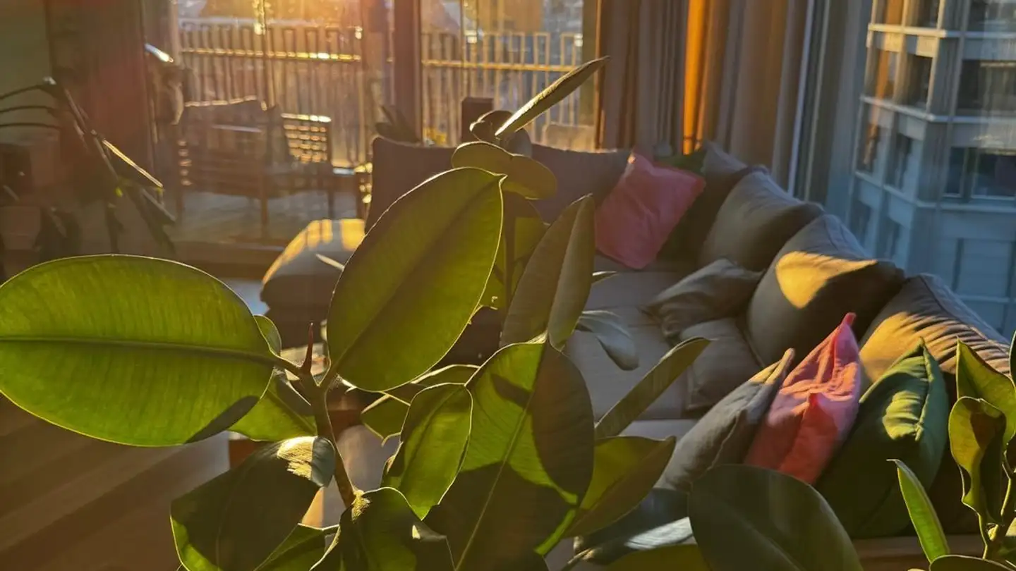 Stanza singola in affitto - Europaallee 45, 8004 Zürich - Foto 3