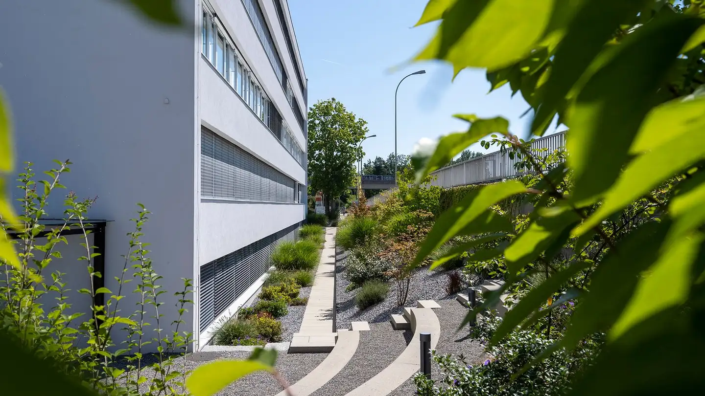 Commerciale in affitto - Rohrstrasse 44, 8152 Glattbrugg - Foto 3