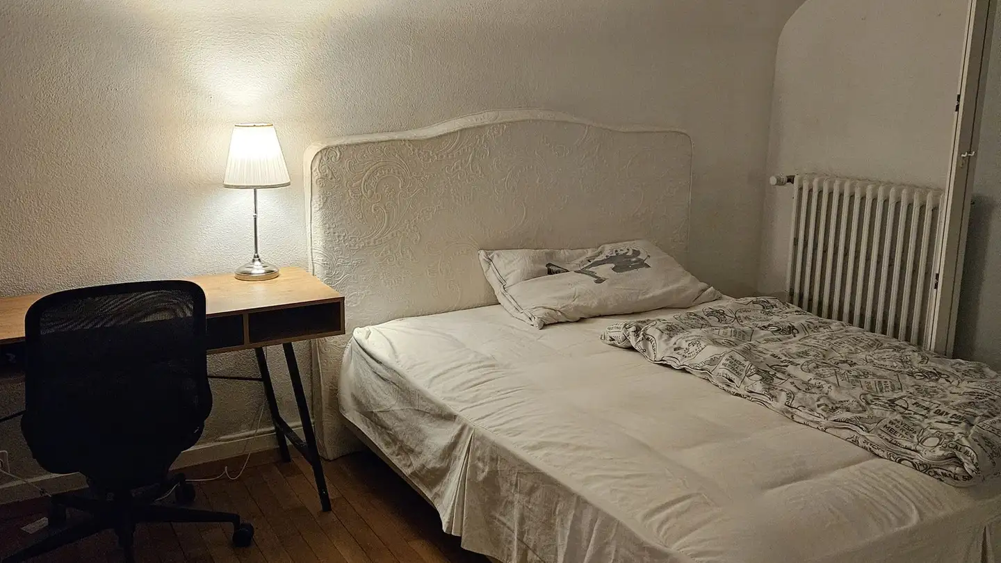 Chambre à louer - 8050 Zürich - Photo 2