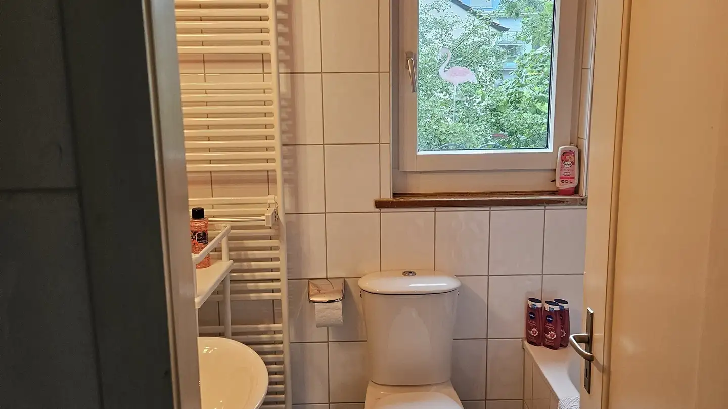 Chambre à louer - 8050 Zürich - Photo 3