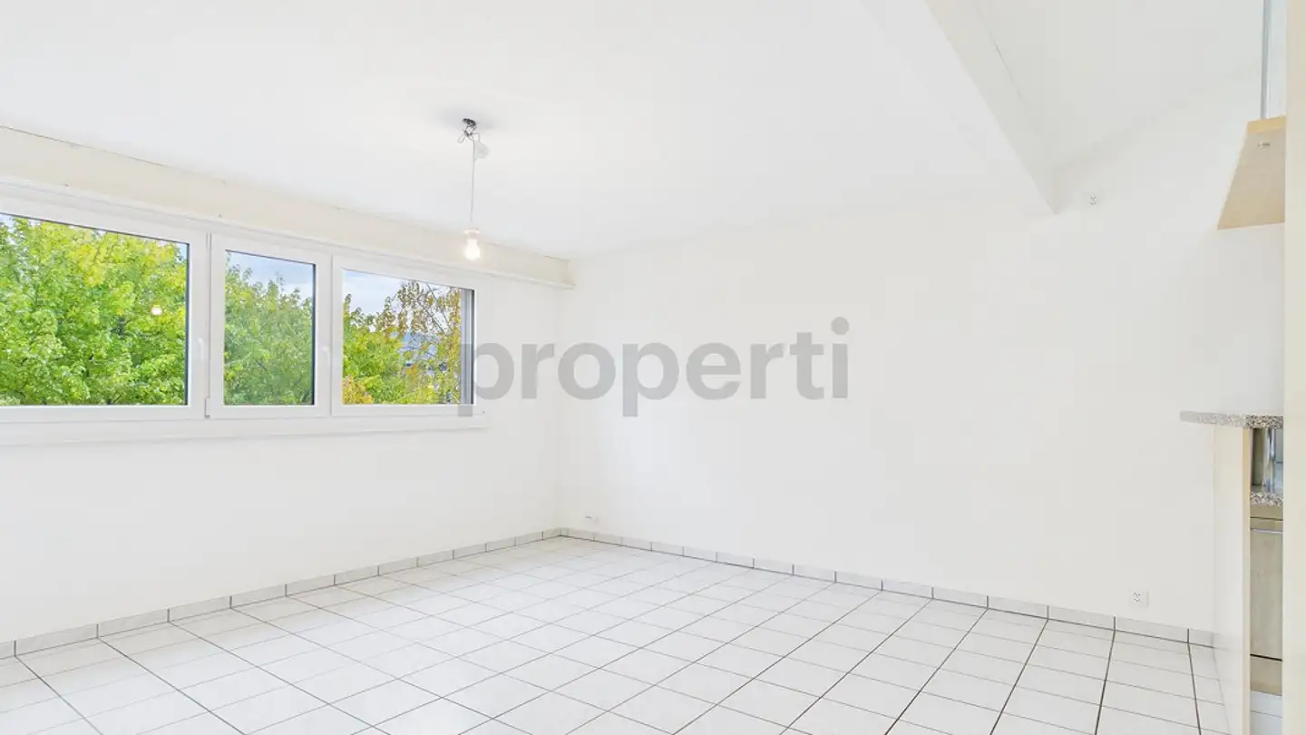 Penthouse mieten - 4153 Reinach BL