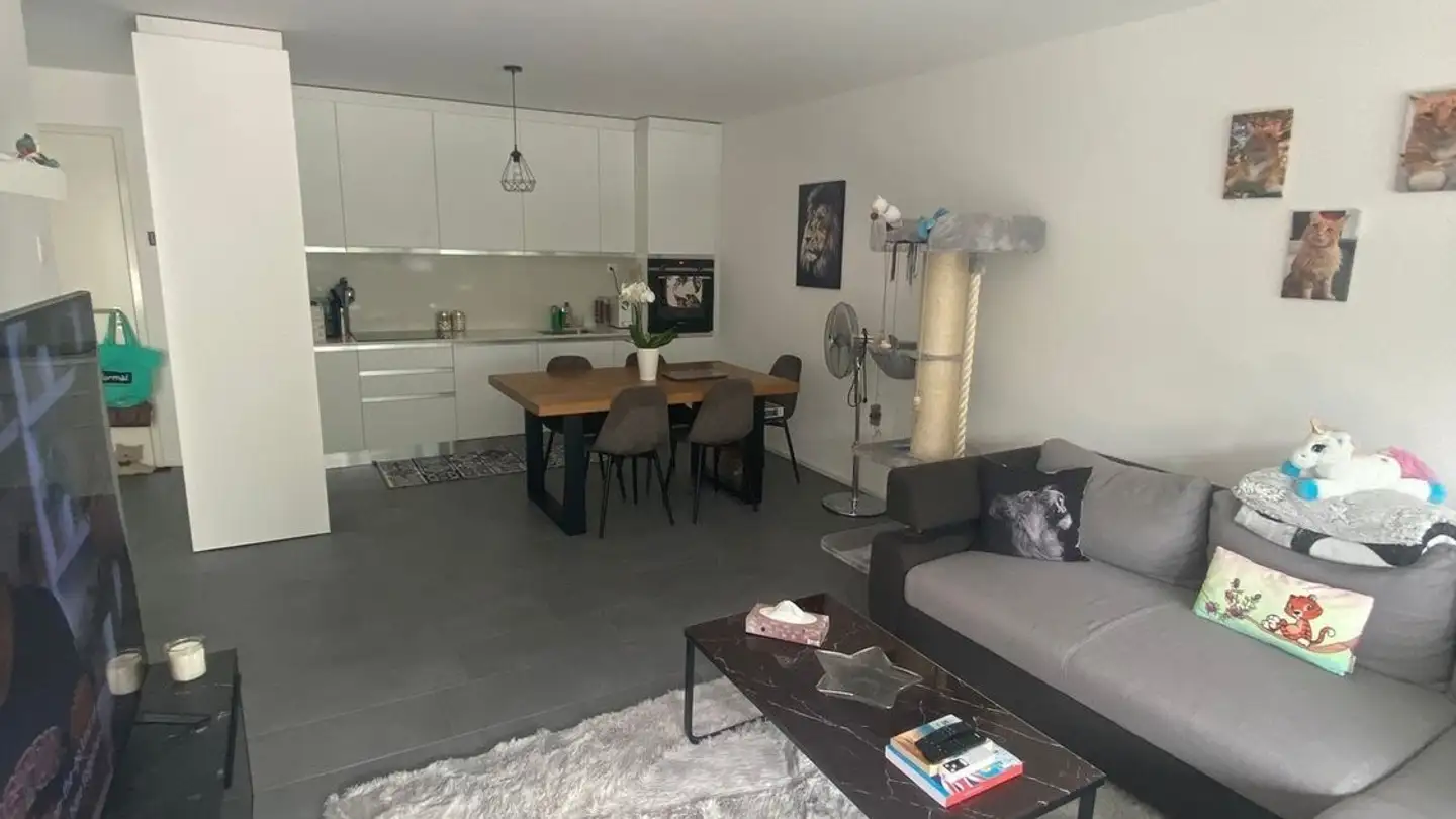 Apartment for rent - 6943 Vezia - Photo 4