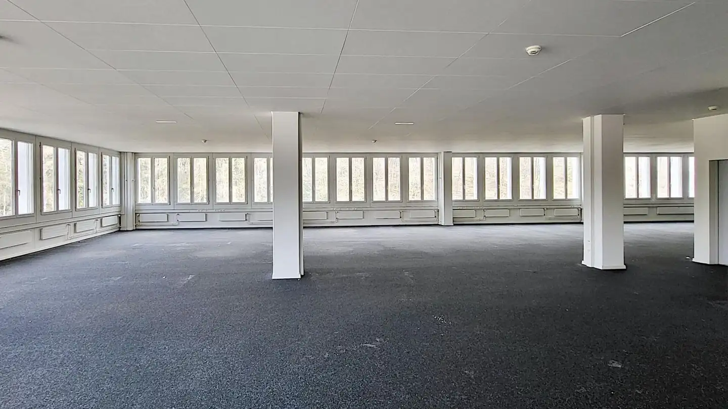 Bureau à louer - Gewerbestrasse 16, 8132 Egg b. Zürich - Photo 2
