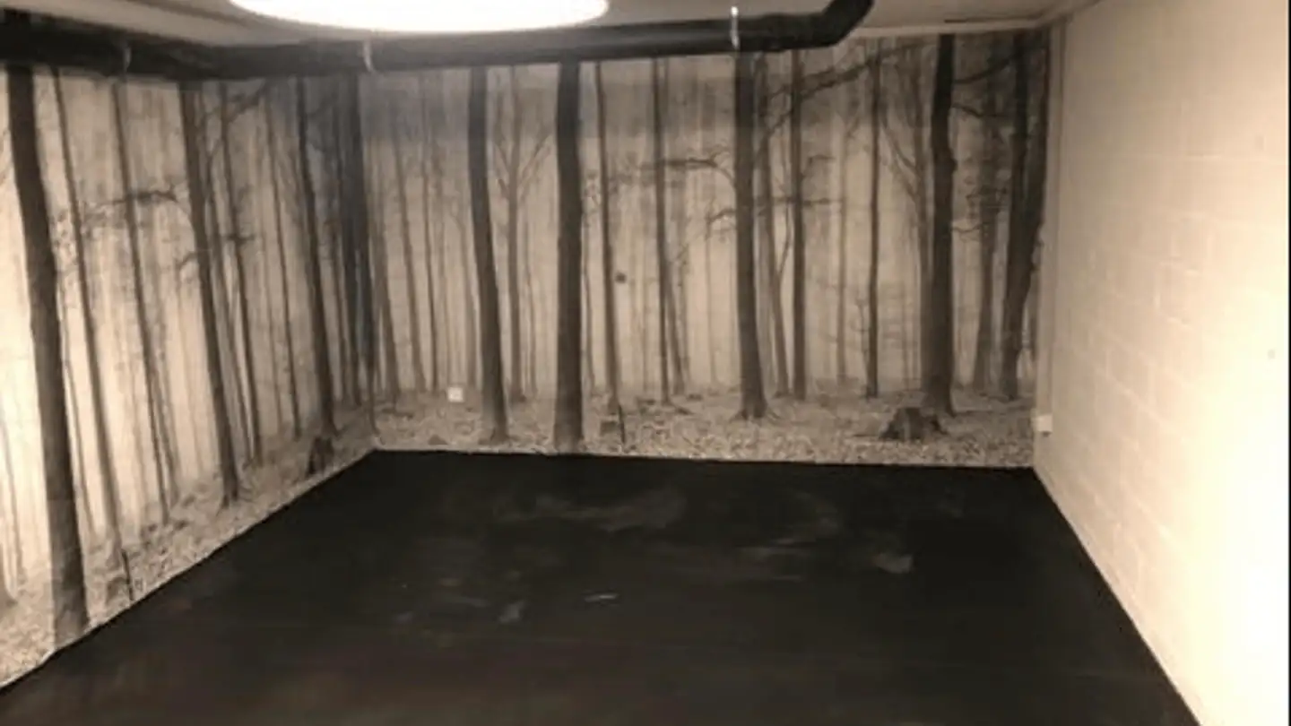 Hobby room for rent - Dorfstrasse 77, 6375 Beckenried - Photo 2