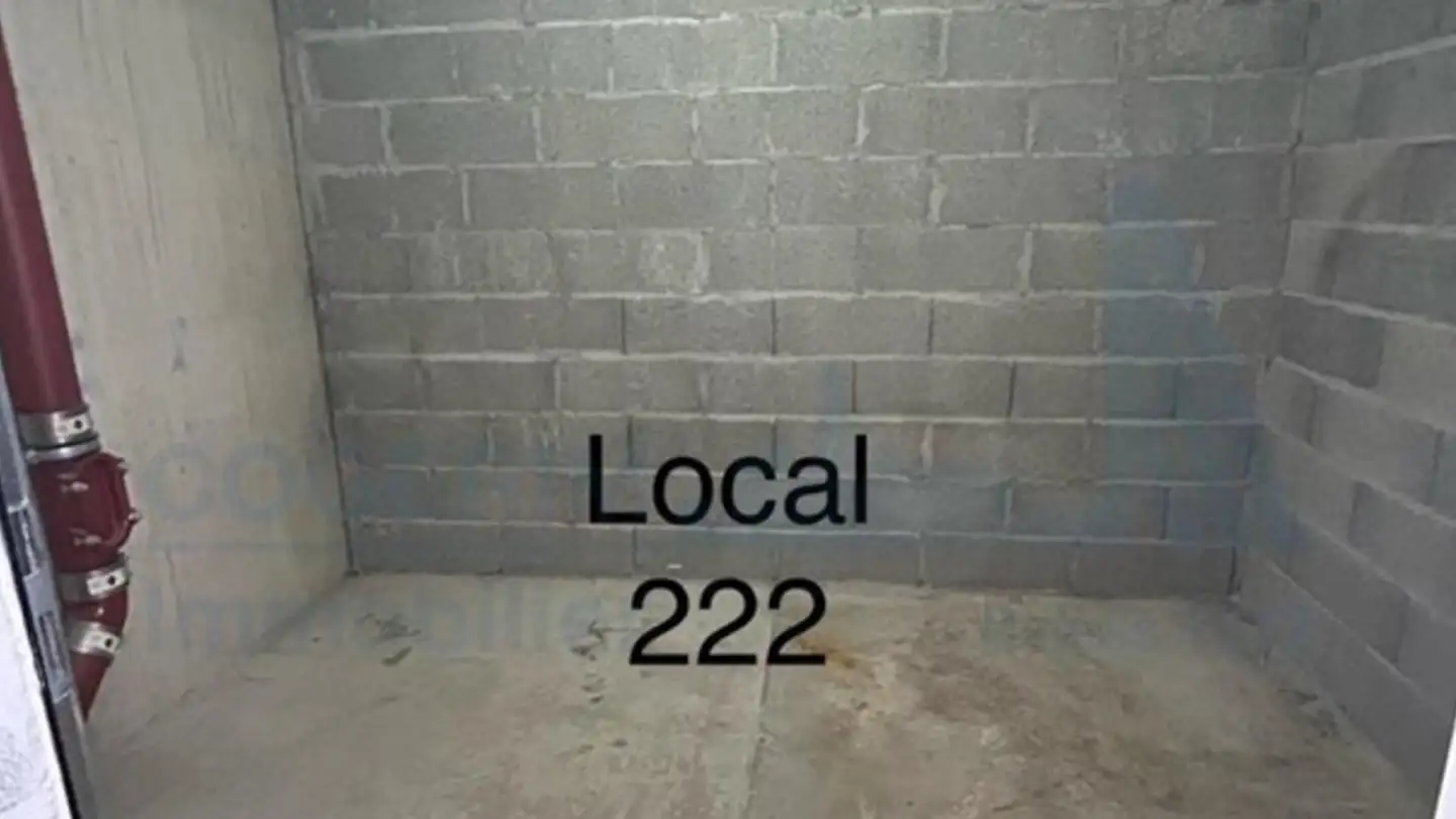 Espace de stockage à louer - 1218 Le Grand-Saconnex - Photo 3