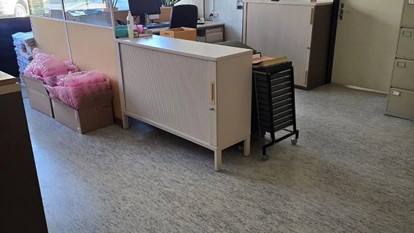 Single garage for rent - Moosacherstrasse 4, 8804 Au ZH - Photo 2