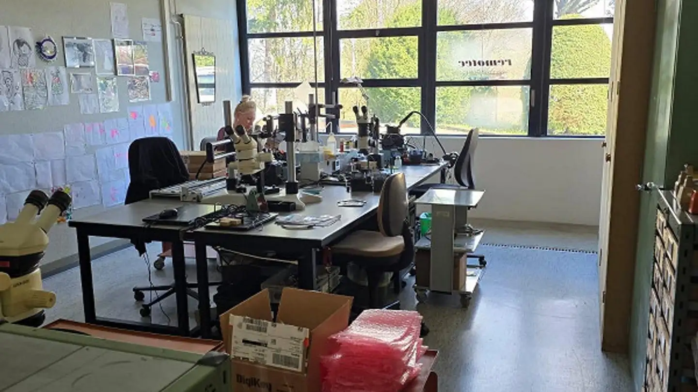 Single garage for rent - Moosacherstrasse 4, 8804 Au ZH - Photo 3