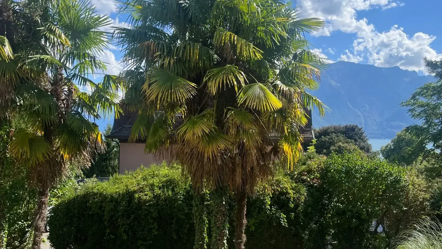 Apartment for rent - Avenue De Sully 80a, 1814 La Tour-de-Peilz