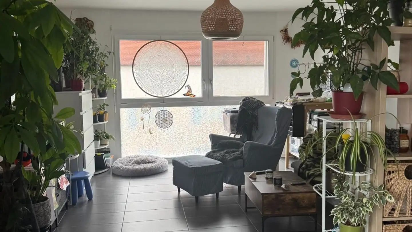 Appartement à louer - Route De Donneloye 3, 1407 Bioley-Magnoux