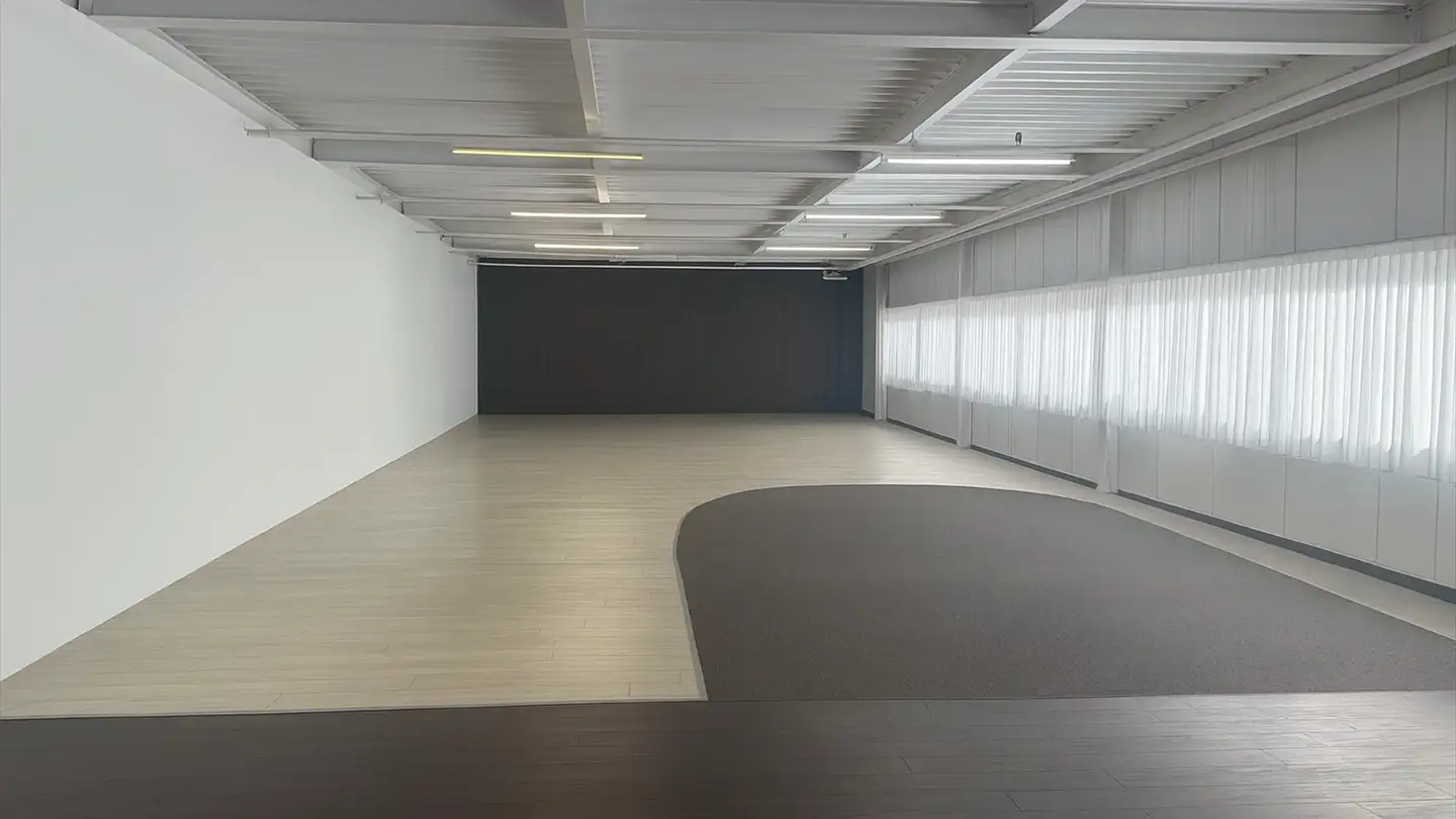 Commercial for rent - Route Du Léman 33, 1907 Saxon - Photo 3