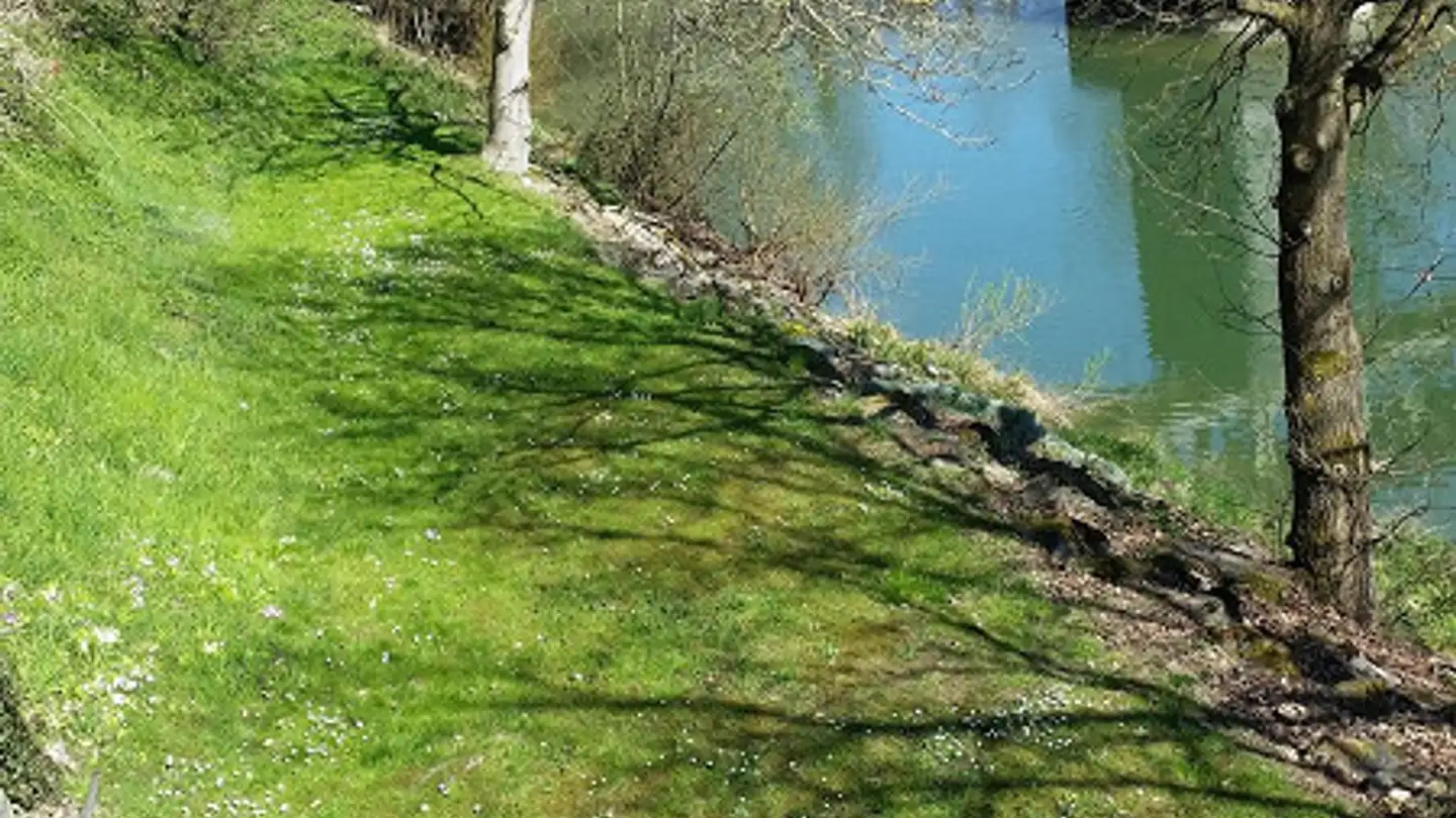Apartment for rent - Amriswilerstrasse 88, 8589 Sitterdorf