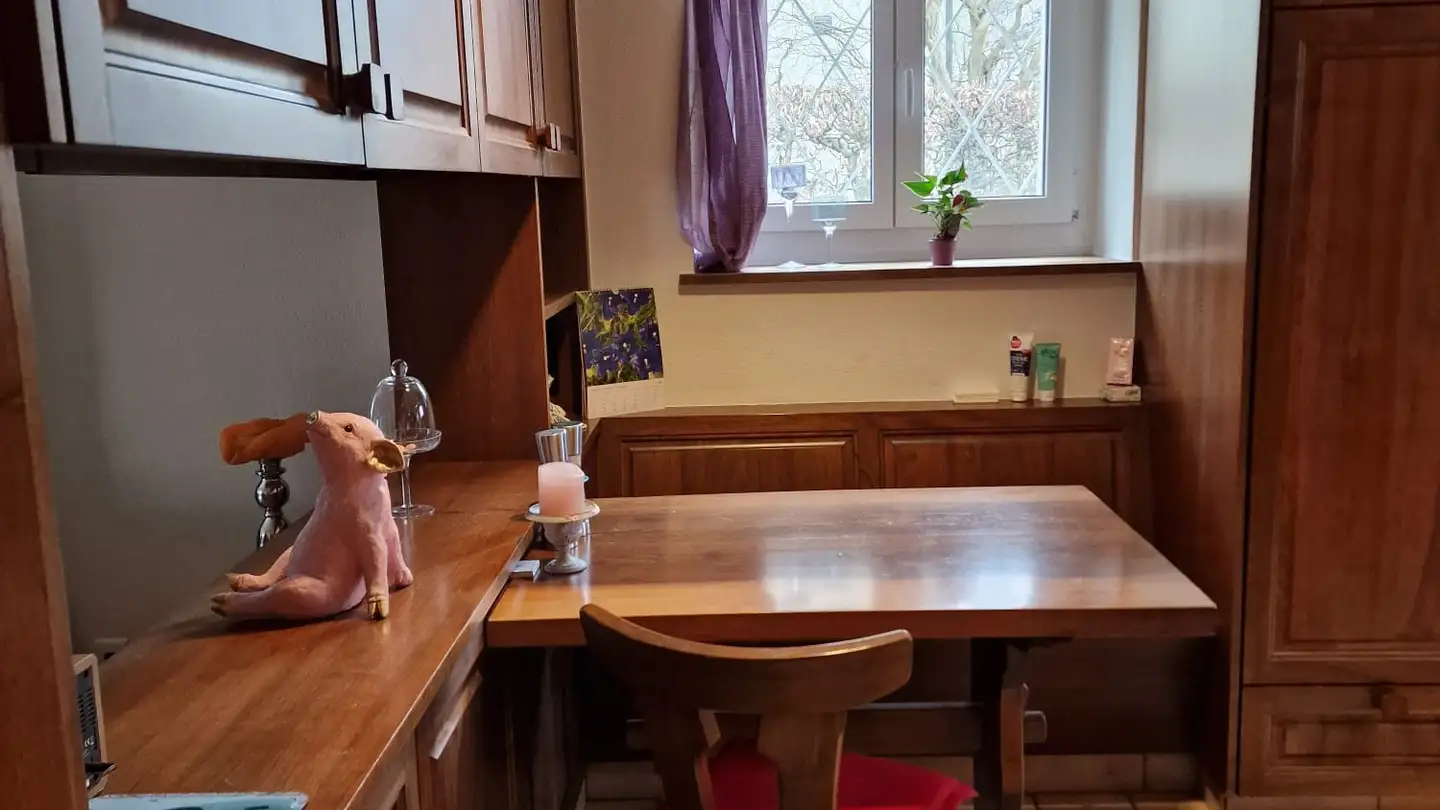 Duplex for rent - Hauptstrasse 59, 4528 Zuchwil - Photo 4