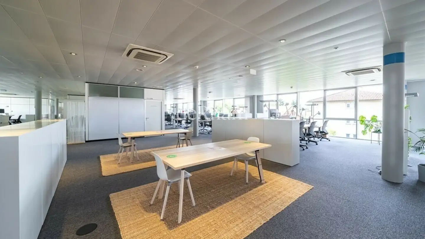 Commercial for rent - Rue Du Caudray 4, 1020 Renens VD - Photo 2