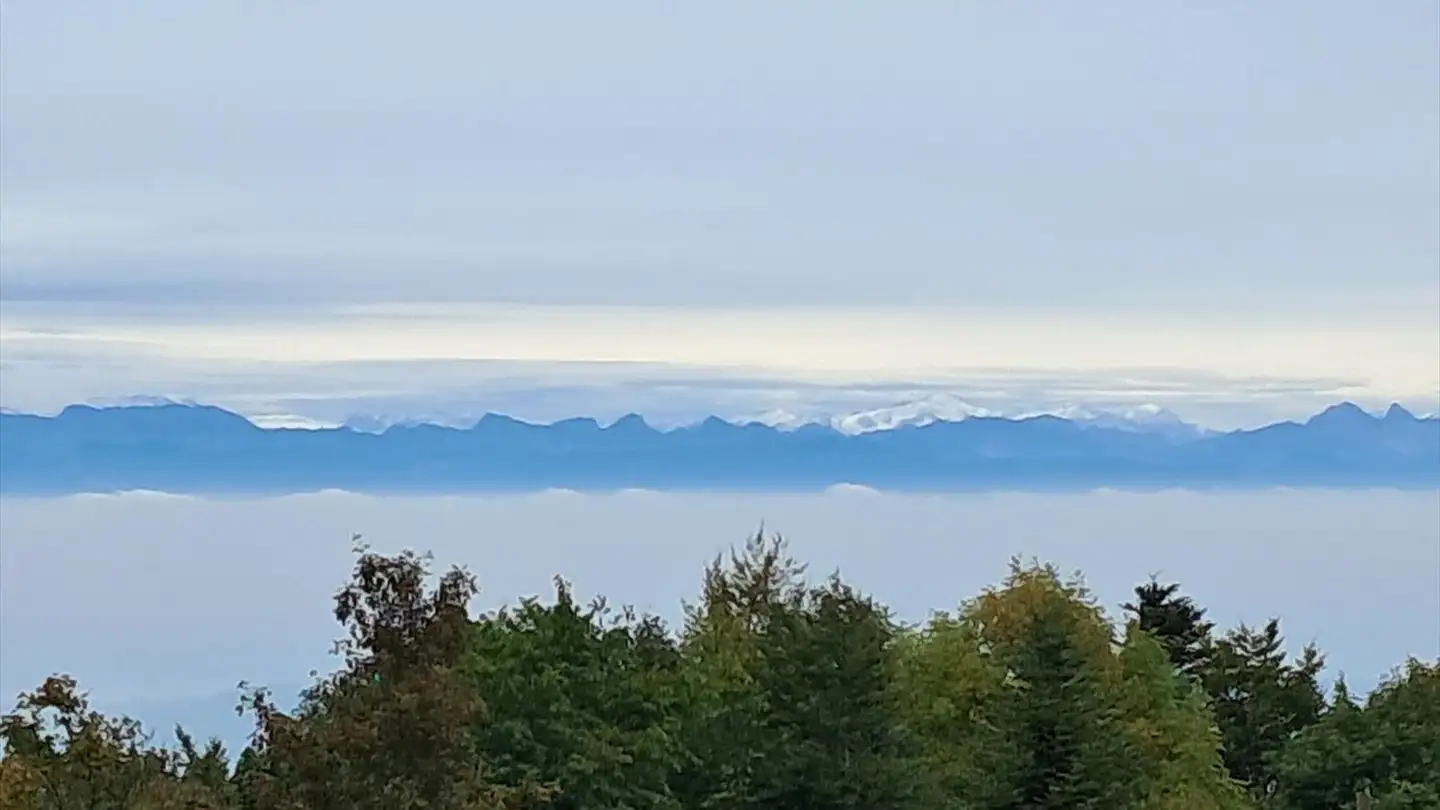 Appartamento in affitto - Chemin De La Tour 23, 2067 Chaumont - Photo 3