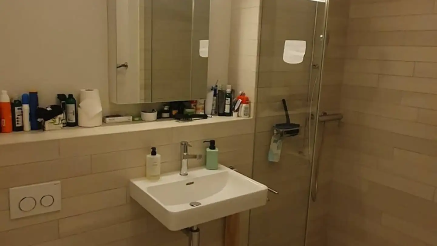 Chambre à louer - Förrlibuckstrasse 223, 8005 Zürich - Photo 4