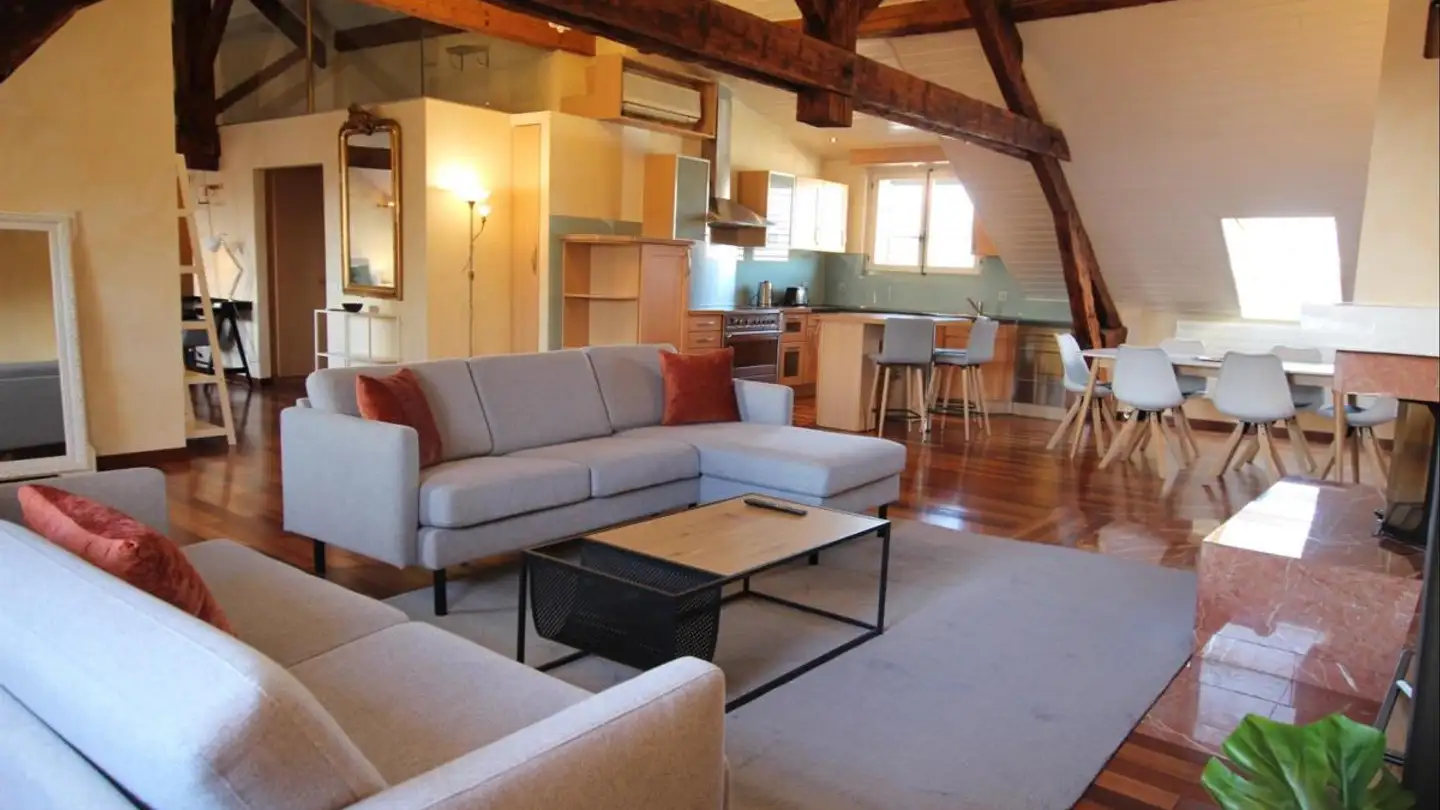 Furnished apartment for rent - Rue Sismondi 13, 1201 Genève