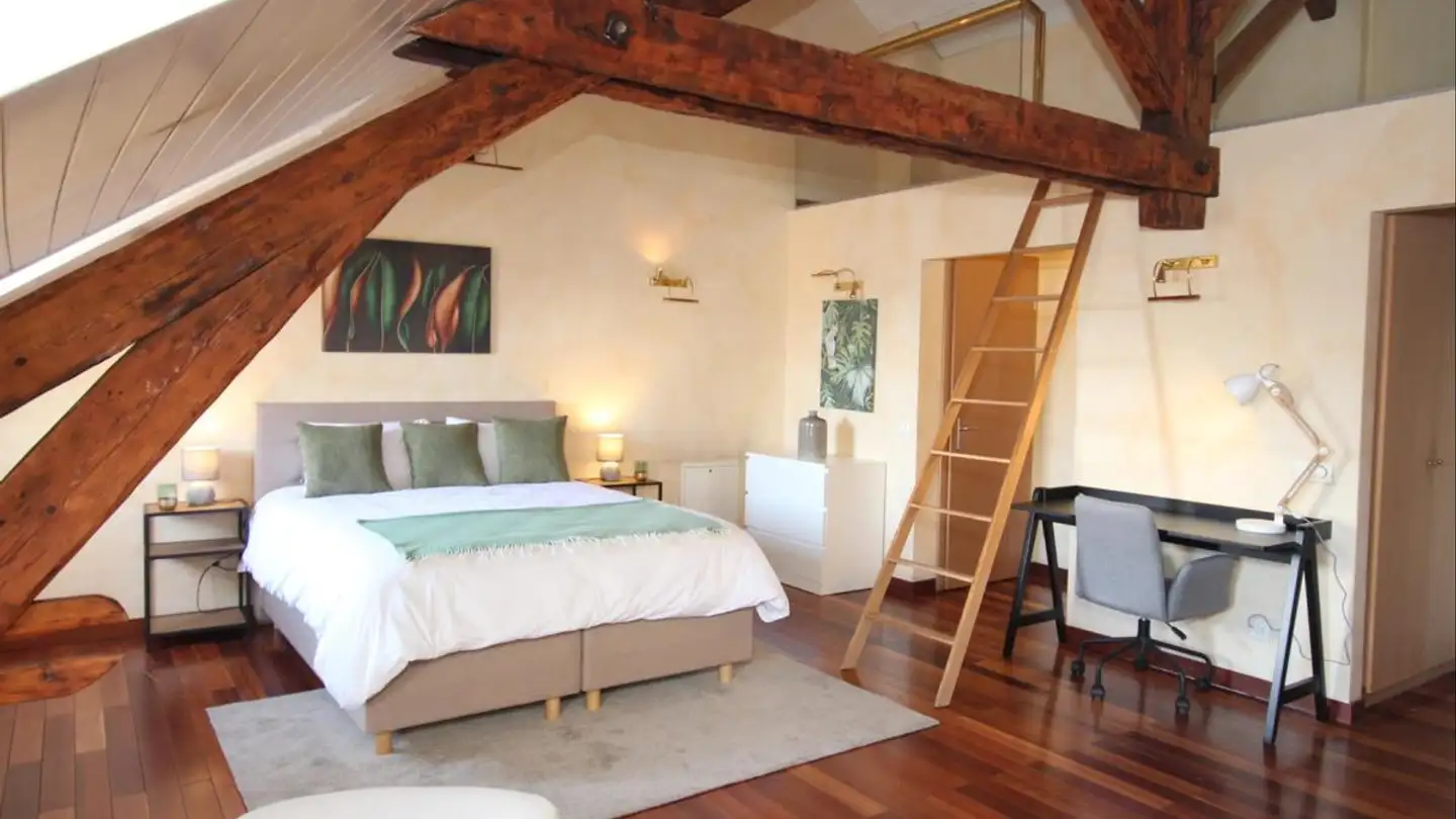 Möblierte Wohnung mieten - Rue Sismondi 13, 1201 Genève - Foto 3