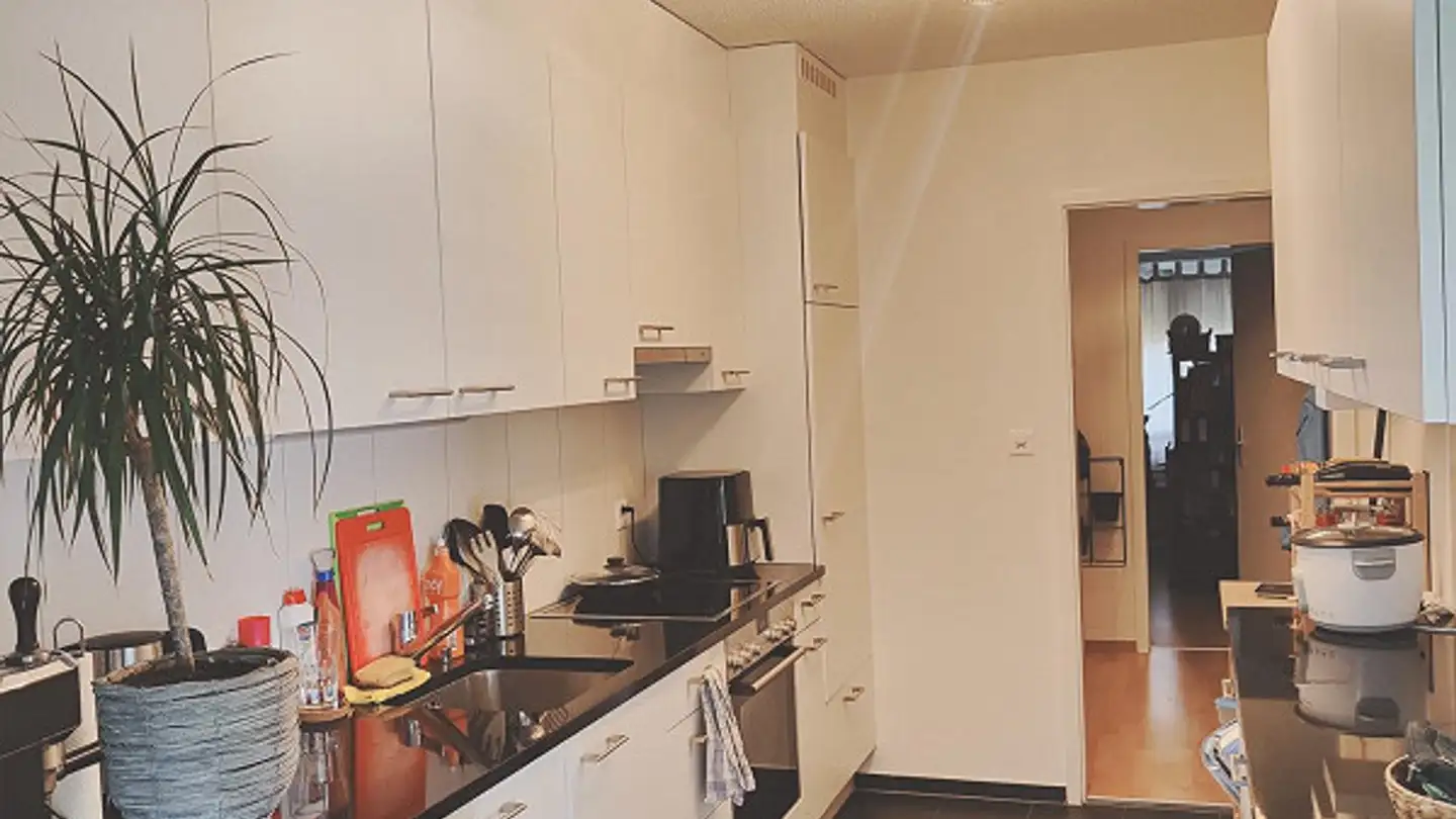 Apartment for rent - Zumbachstrasse, 3095 Spiegel b. Bern - Photo 3