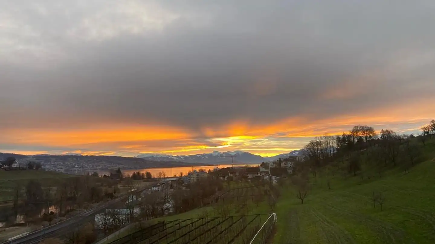 Appartamento in affitto - Alte Landstrasse 93, 8804 Au ZH