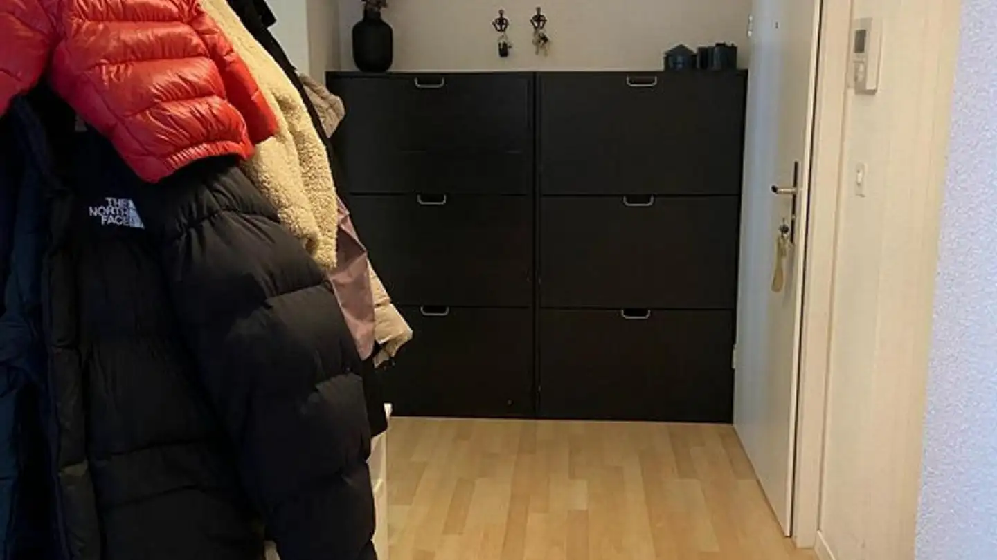 Appartamento in affitto - Alte Landstrasse 93, 8804 Au ZH - Foto 4