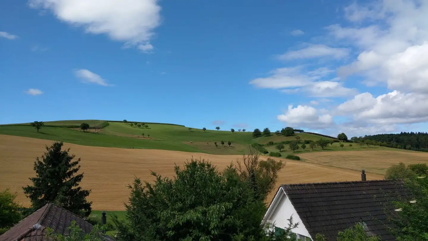 Single room for rent - 4305 Olsberg - Photo 4