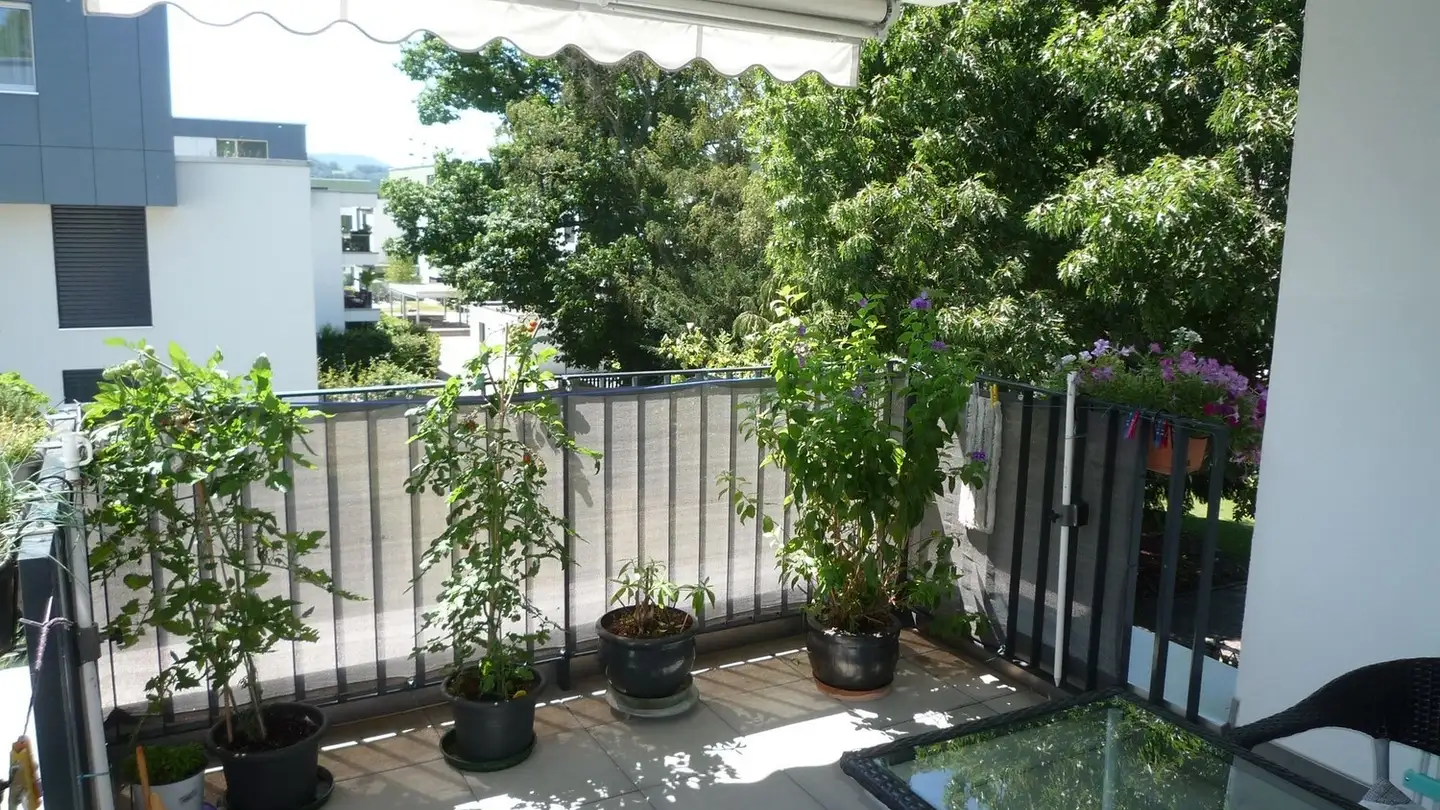 Appartement à louer - Rhypark 1a, 5080 Laufenburg - Photo 4