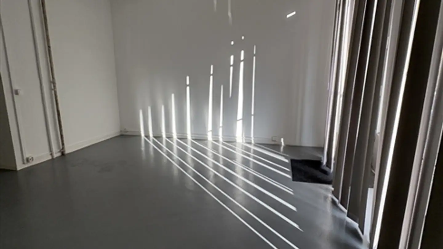 Appartement à louer - Rue Des Sablons, 1205 Genève - Photo 3