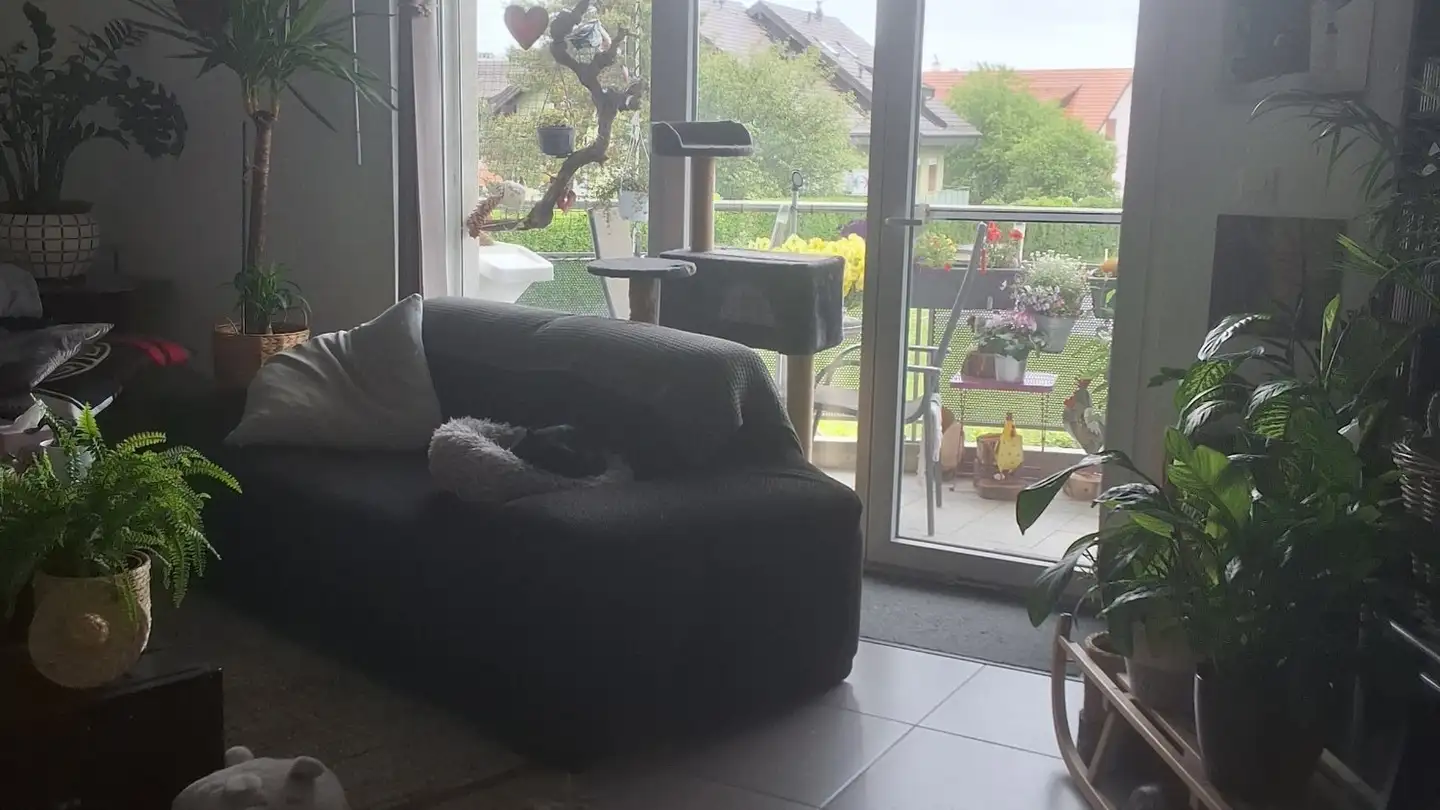 Wohnung mieten - Rue Des Tigneuses 2, 1148 L'Isle - Foto 3
