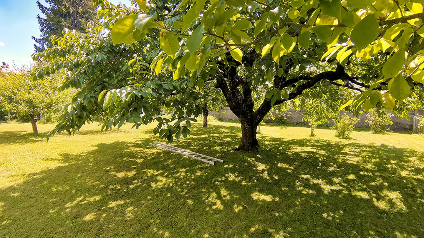Maison individuelle à vendre - 1422 Grandson - Photo 3
