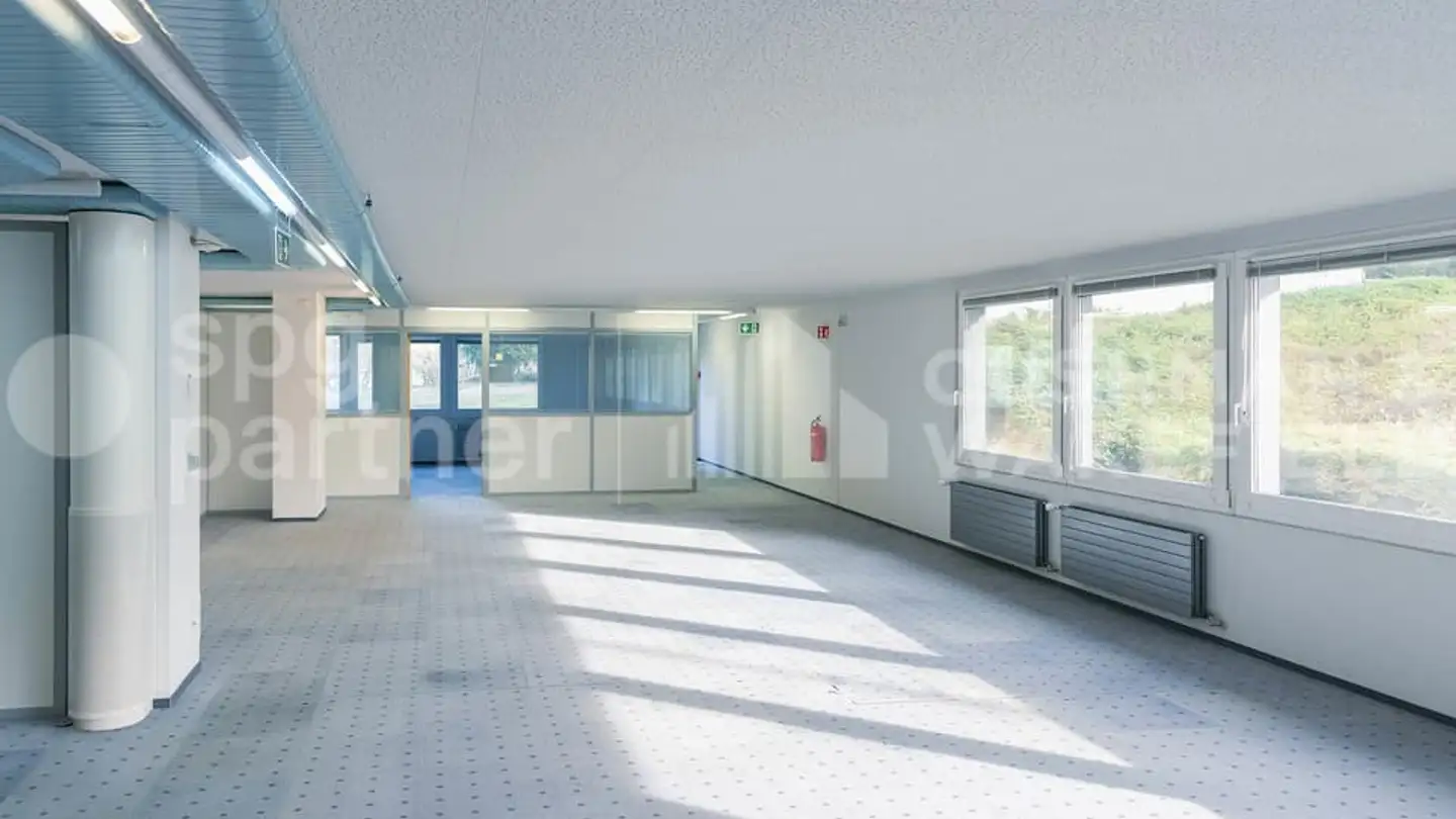 Commerciale in vendita - Route De Meyrin, 1217 Meyrin - Foto 2