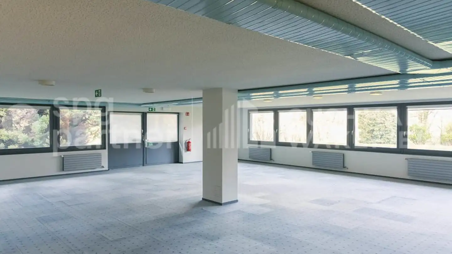 Commerciale in vendita - Route De Meyrin, 1217 Meyrin - Foto 4