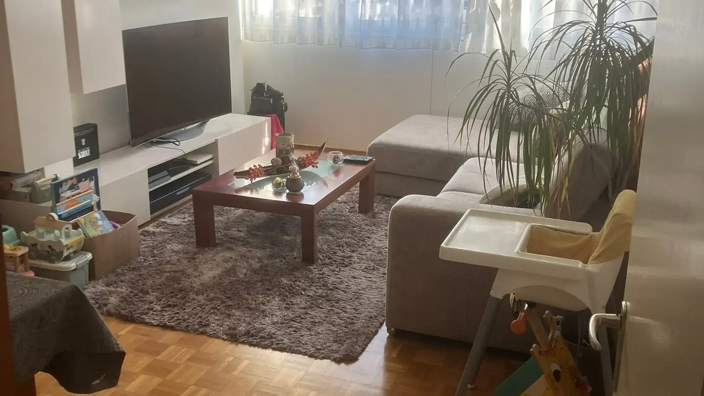 Appartamento in affitto - Chemin De-Maisonneuve 12b, 1219 Châtelaine - Foto 2