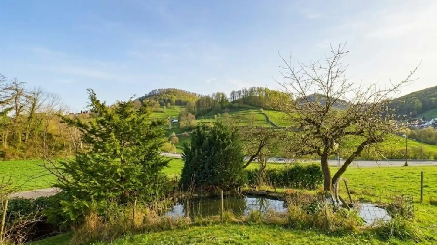 Einfamilienhaus kaufen - 5025 Asp - Foto 3