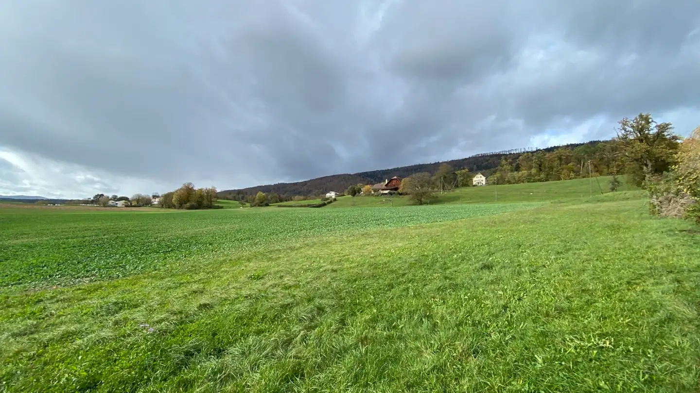 Constructible plot for sale - 2800 Delémont