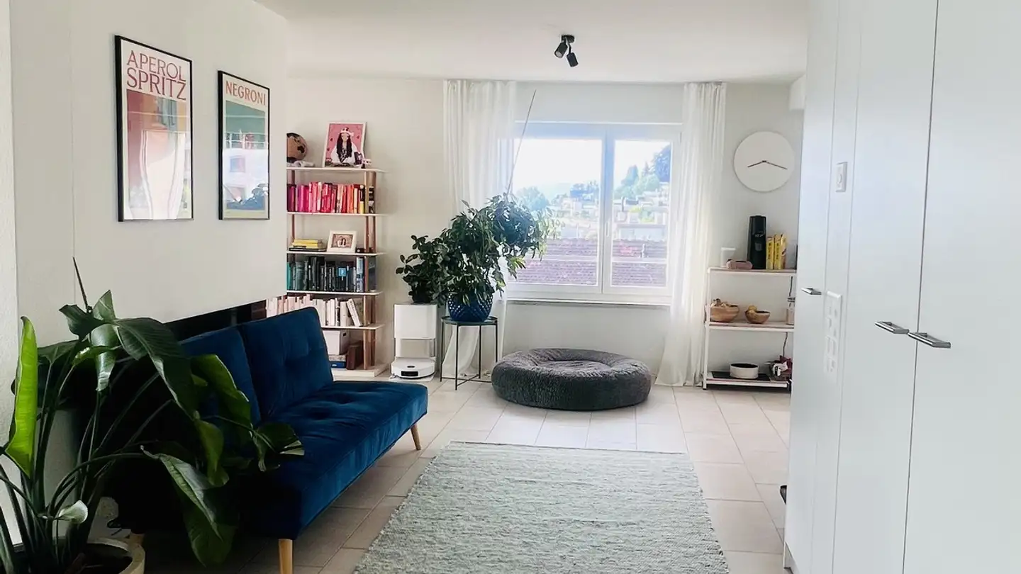 Appartement à louer - 8800 Thalwil
