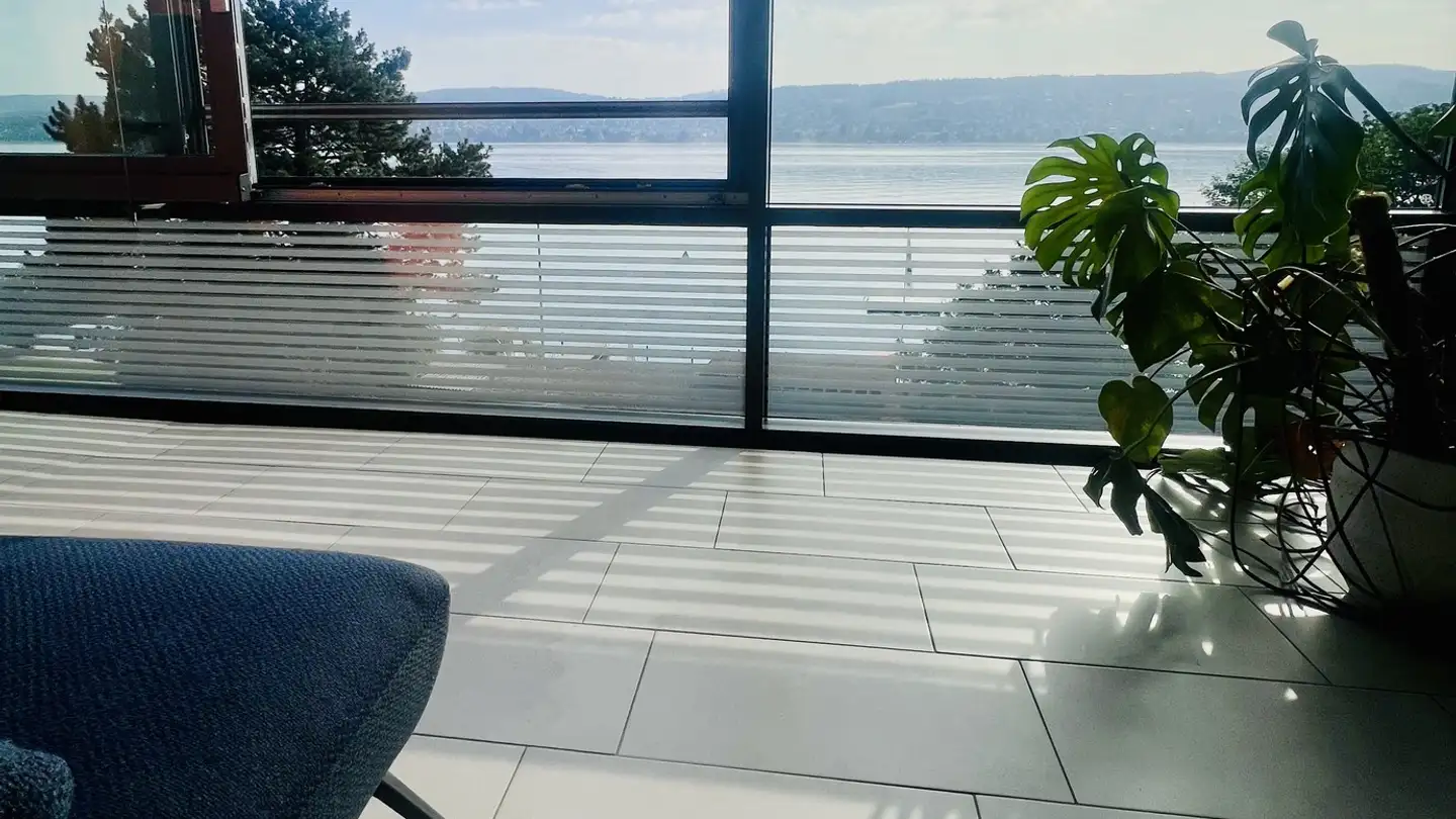 Appartement à louer - 8800 Thalwil - Photo 2
