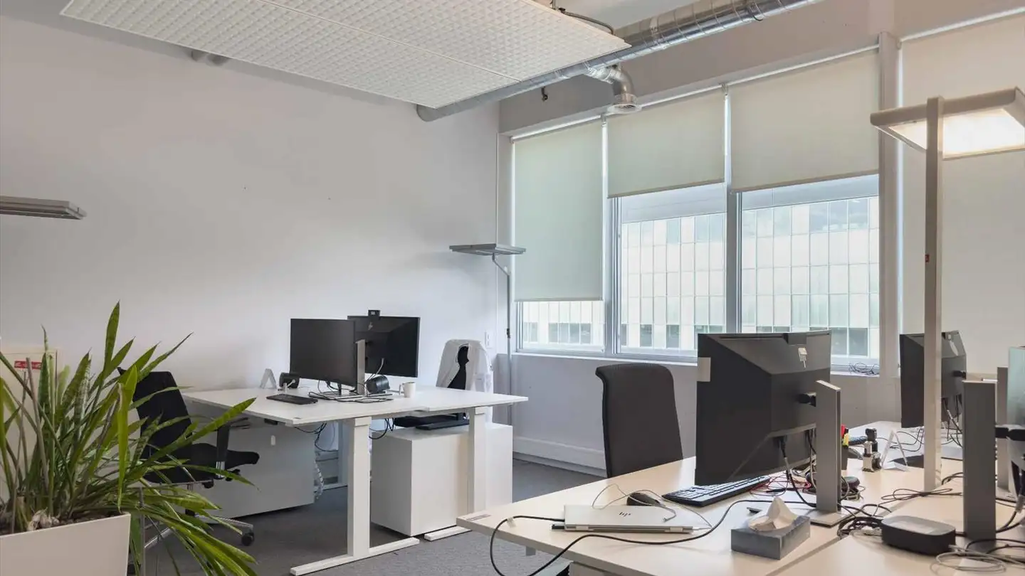 Bürofläche mieten - Rue Emma- Kammacher 9, 1217 Meyrin