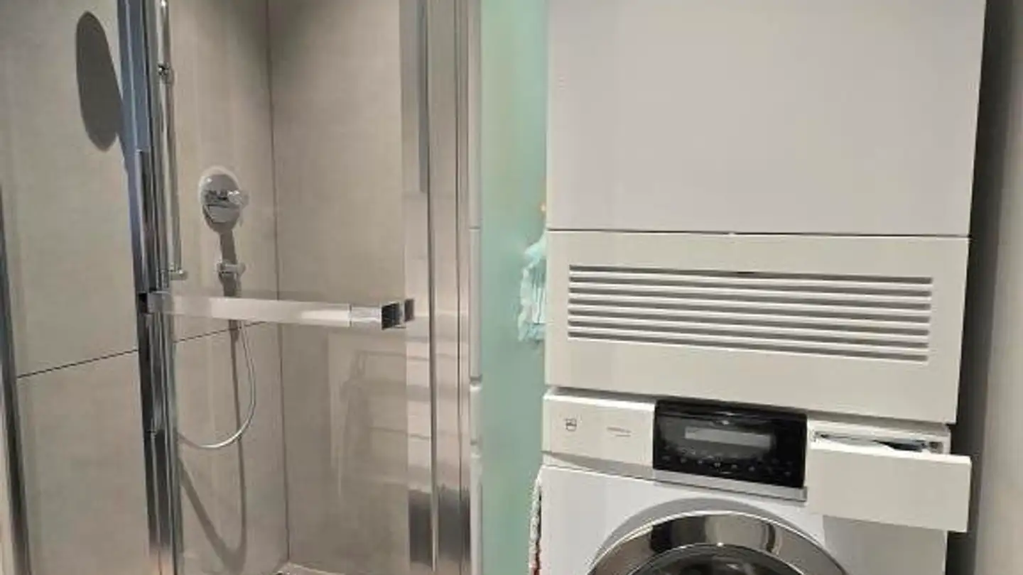 Appartement à louer - Alsenhalde 9, 8800 Thalwil - Photo 4