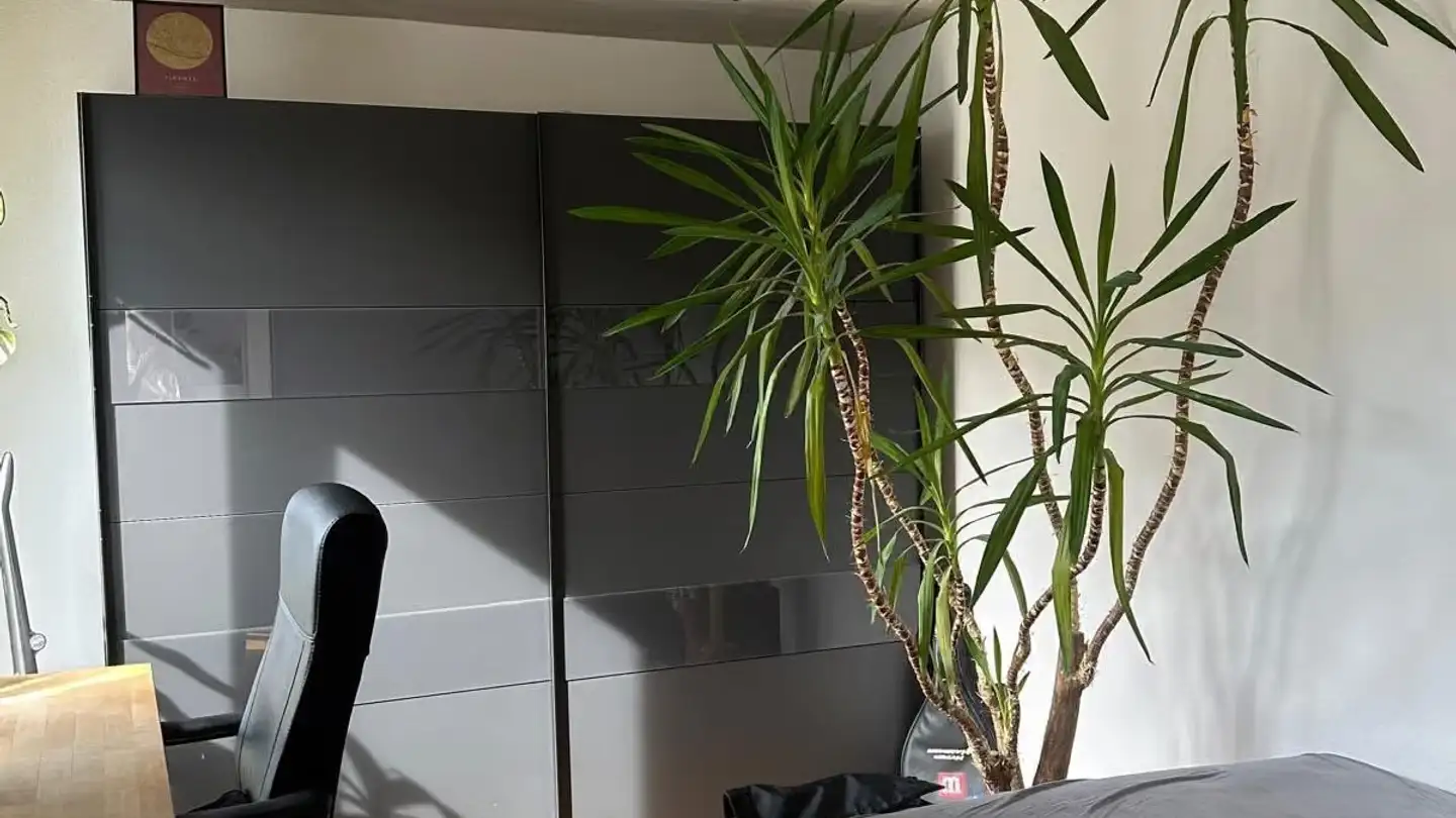 Wohnung mieten - Seebacherstrasse 74, 8052 Zürich - Foto 4