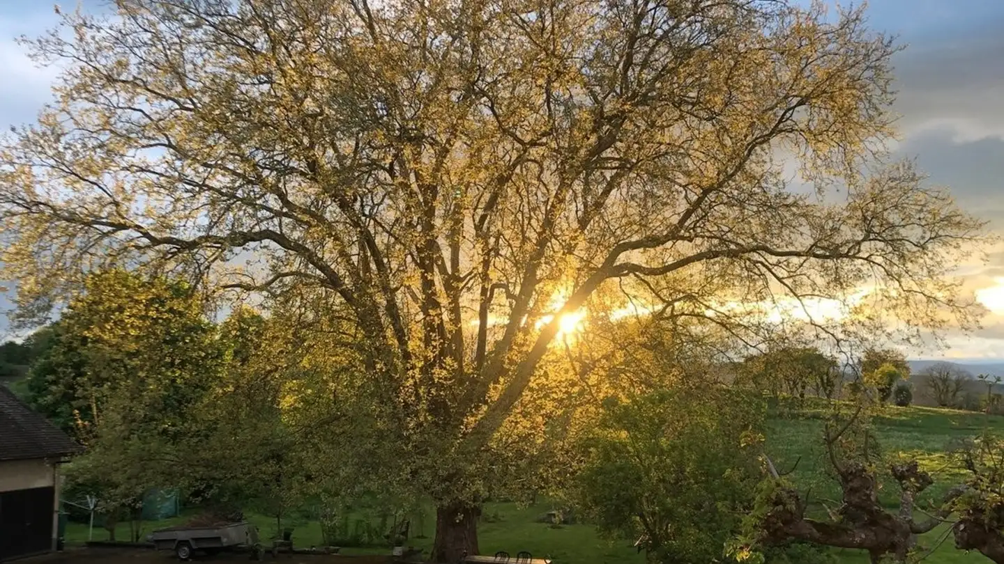 Stanza singola in affitto - Route De Payerne 10, 1552 Trey - Foto 4