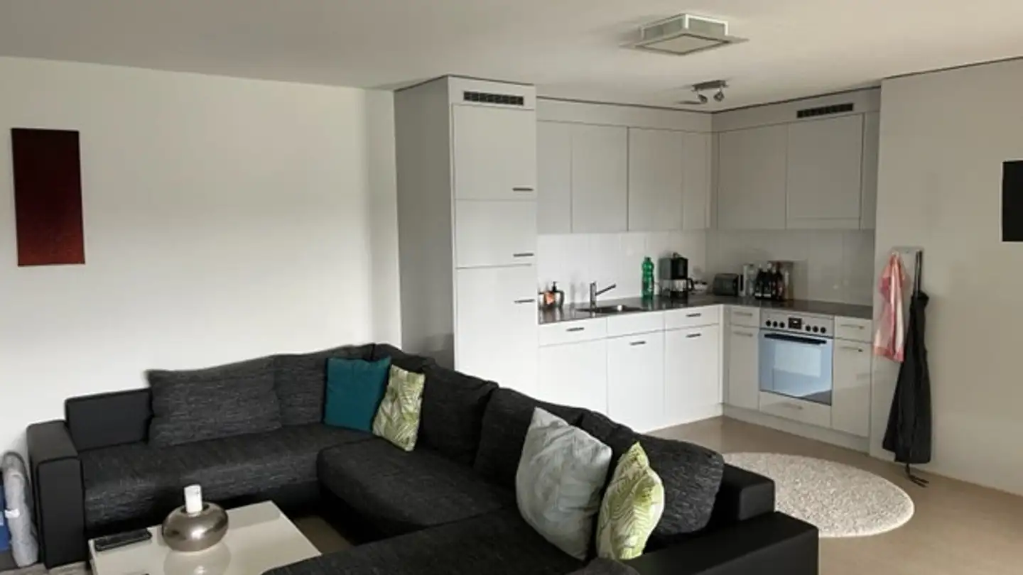 Chambre à louer - Wiesenstrasse 12b, 8952 Schlieren