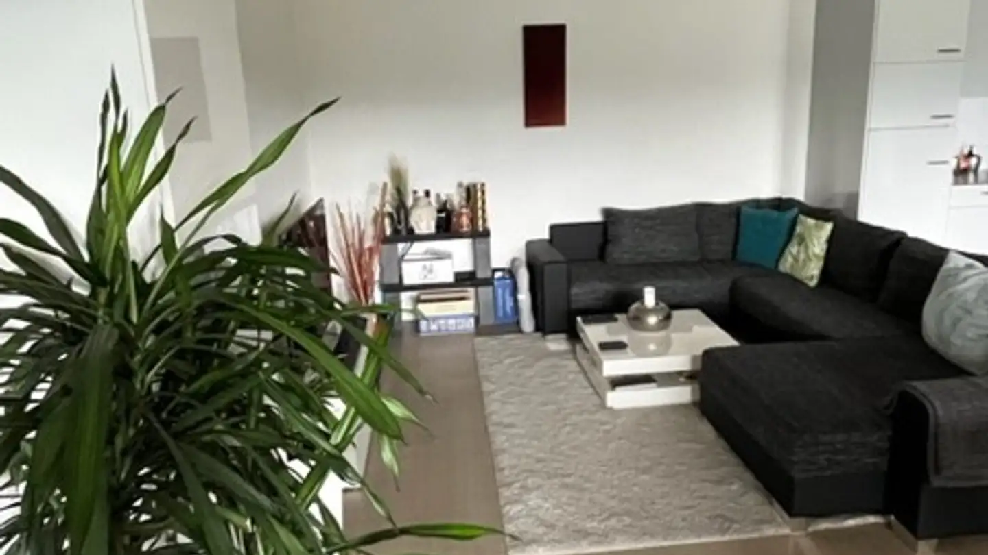 Chambre à louer - Wiesenstrasse 12b, 8952 Schlieren - Photo 2