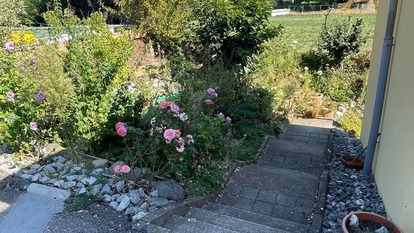 Appartamento in affitto - Route De Belmont, 1741 Cottens FR - Photo 4