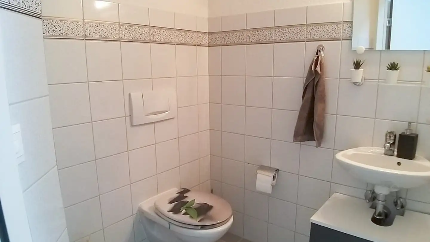 Duplex for rent - Oberdorfstrasse 41, 4244 Röschenz - Photo 3