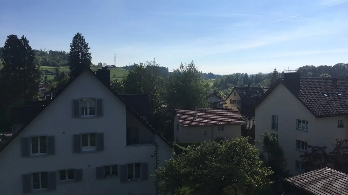 Appartamento in affitto - Alte Bettswilerstrasse 18, 8344 Bäretswil - Photo 2