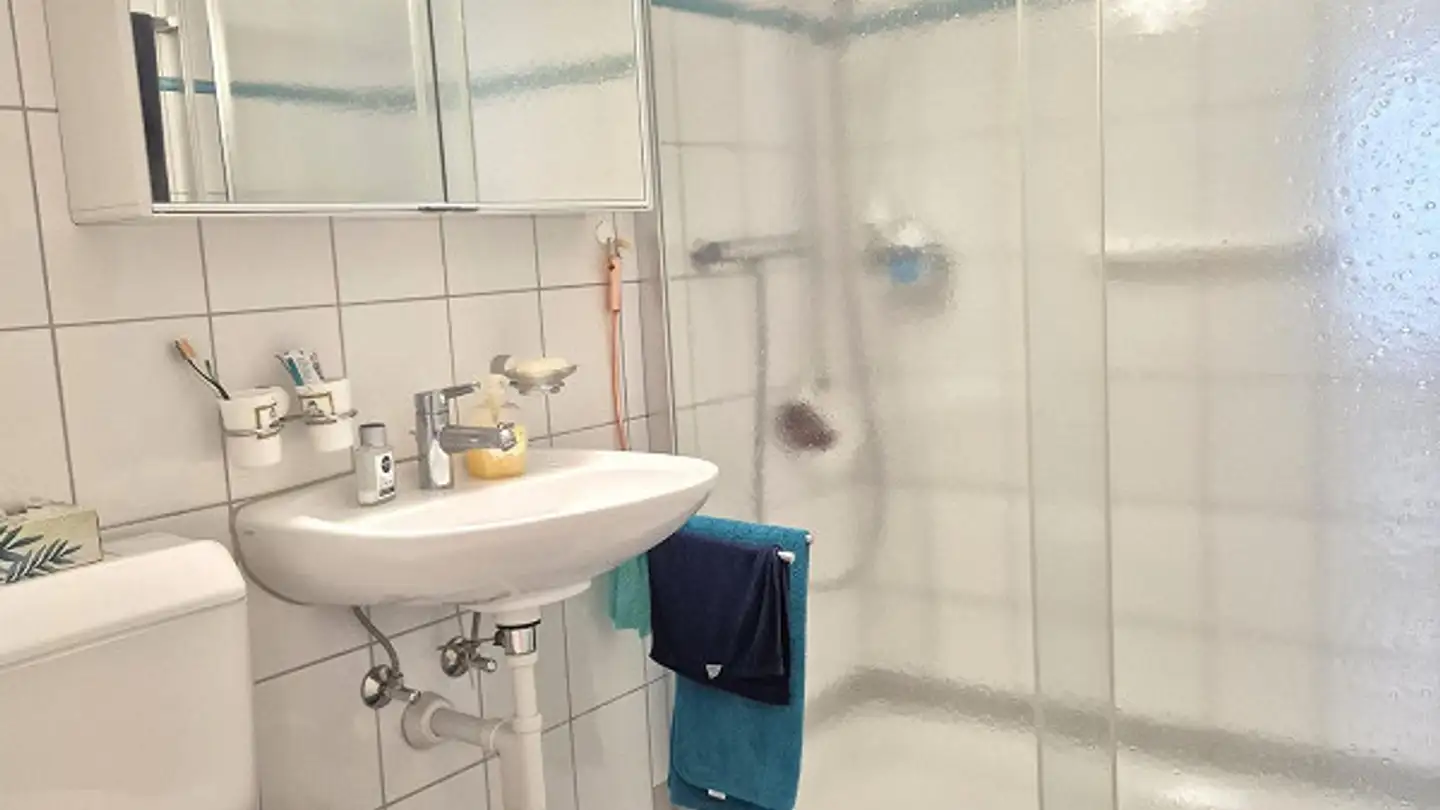 Appartamento in affitto - Buchenstrasse 16, 9100 Herisau - Foto 3